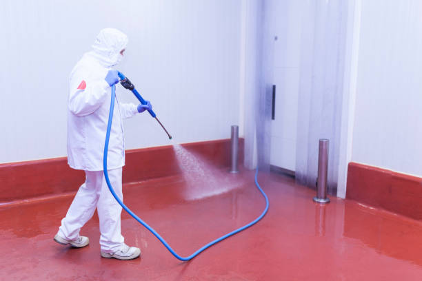 Best Paint Preparation  in Marble Hill, MO