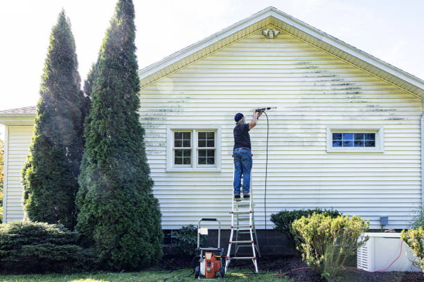 Best Graffiti Removal  in Marble Hill, MO
